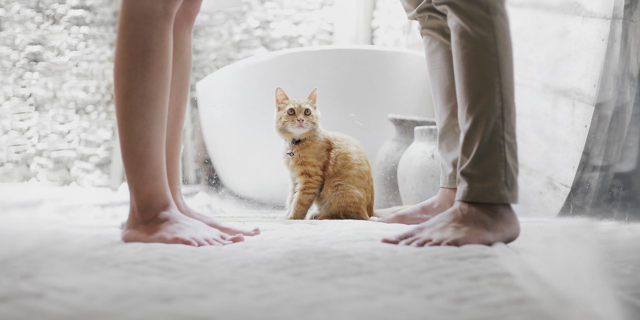 No all’assegno di mantenimento se la moglie ha redditi diversamente desumibili